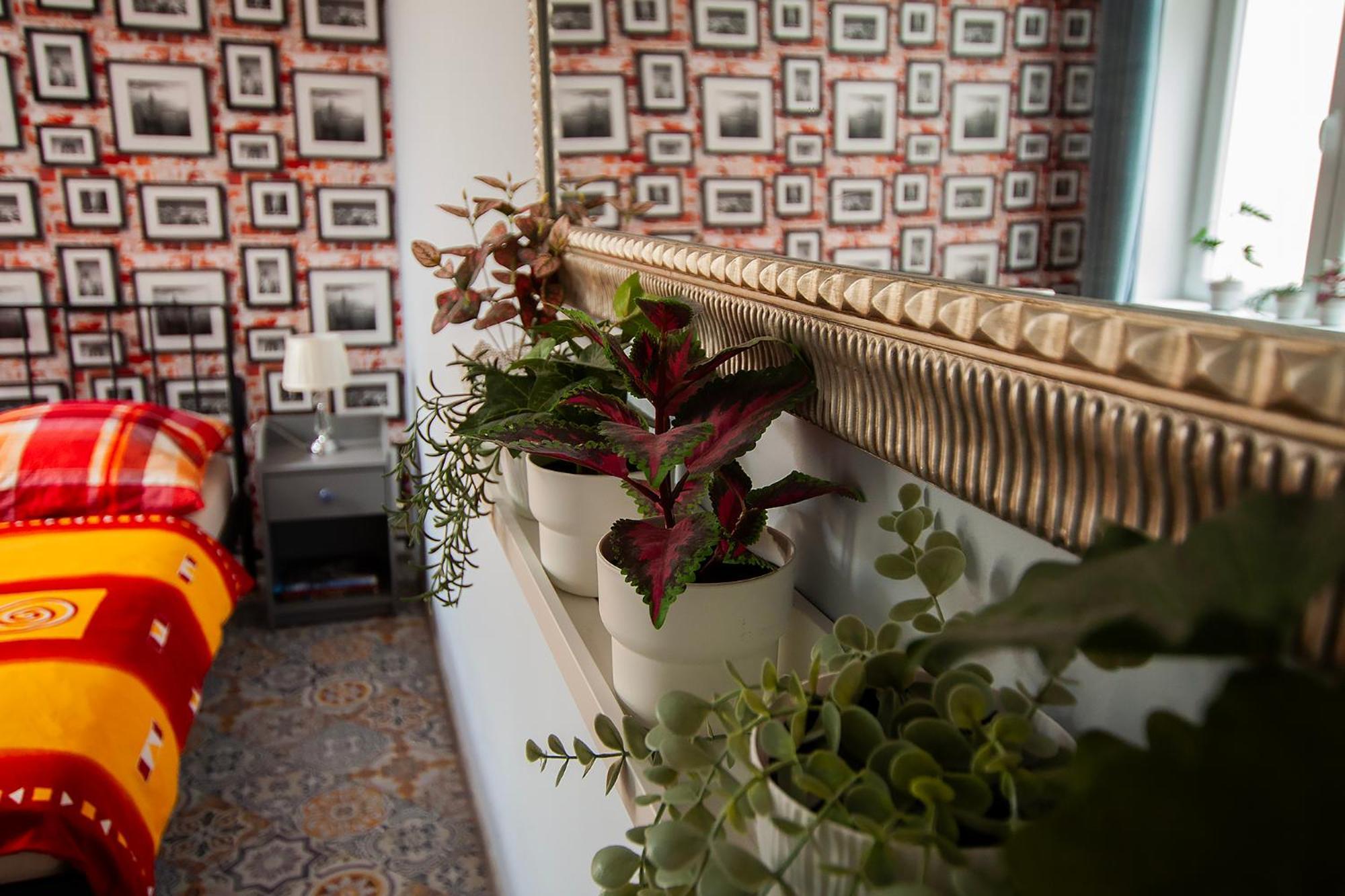 Apartament U Olechny 4 ビィドゴシュチュ エクステリア 写真